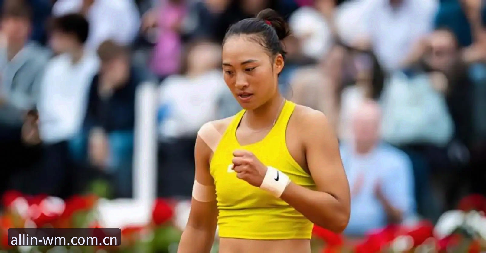 完美体育最新版本必备 揭秘2026法网女单抽签:郑钦文保分压力下的逆袭之路与完美体育观赛新体验