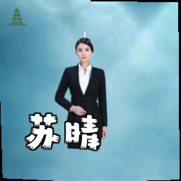 苏晴